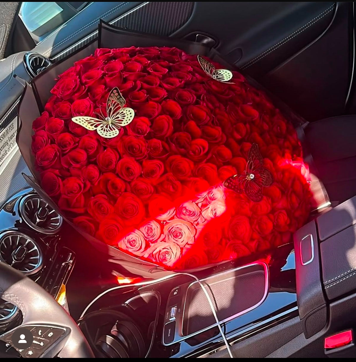 200 Red Roses with Black Transparent Wrapping